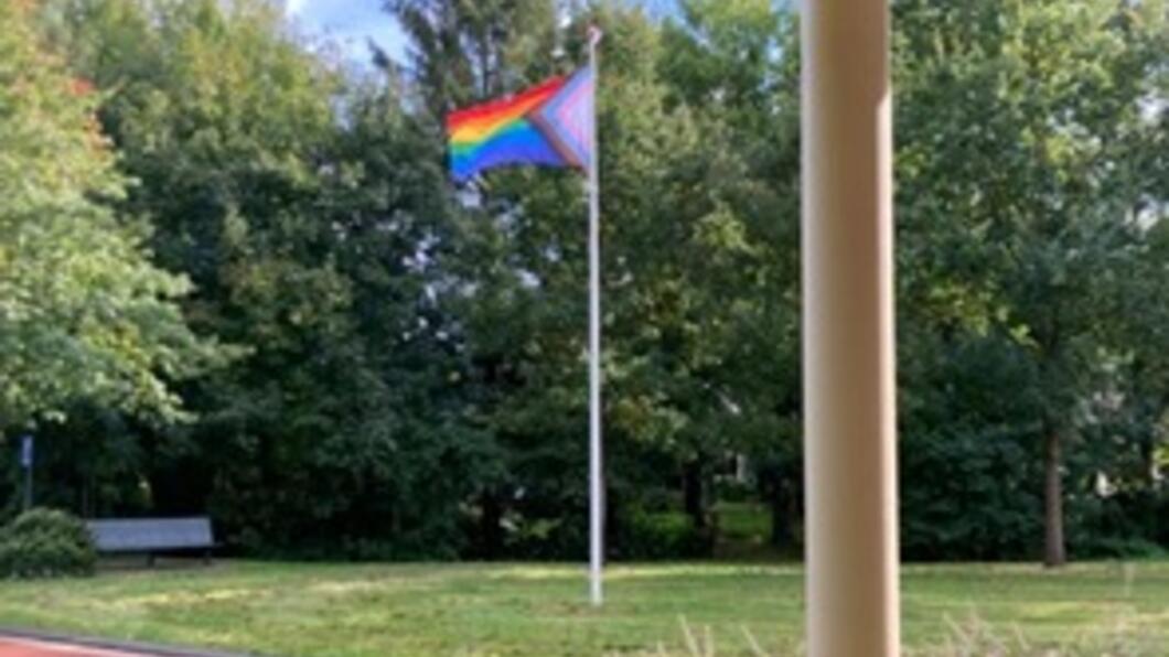 Progressvlag