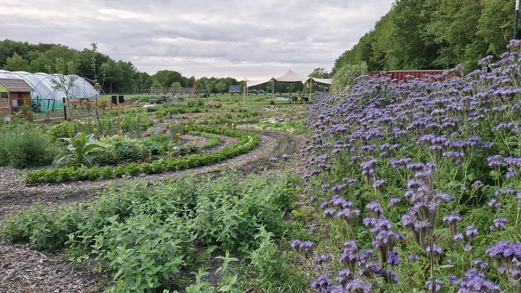 De kleine boerderij