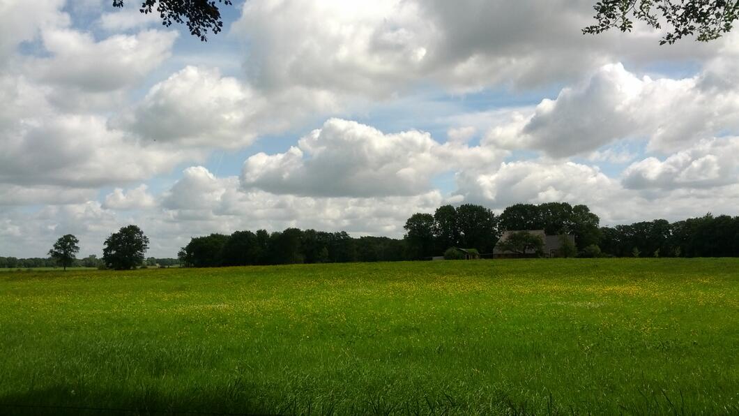 Ter Borgh Esch