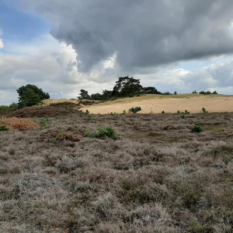 kale duinen