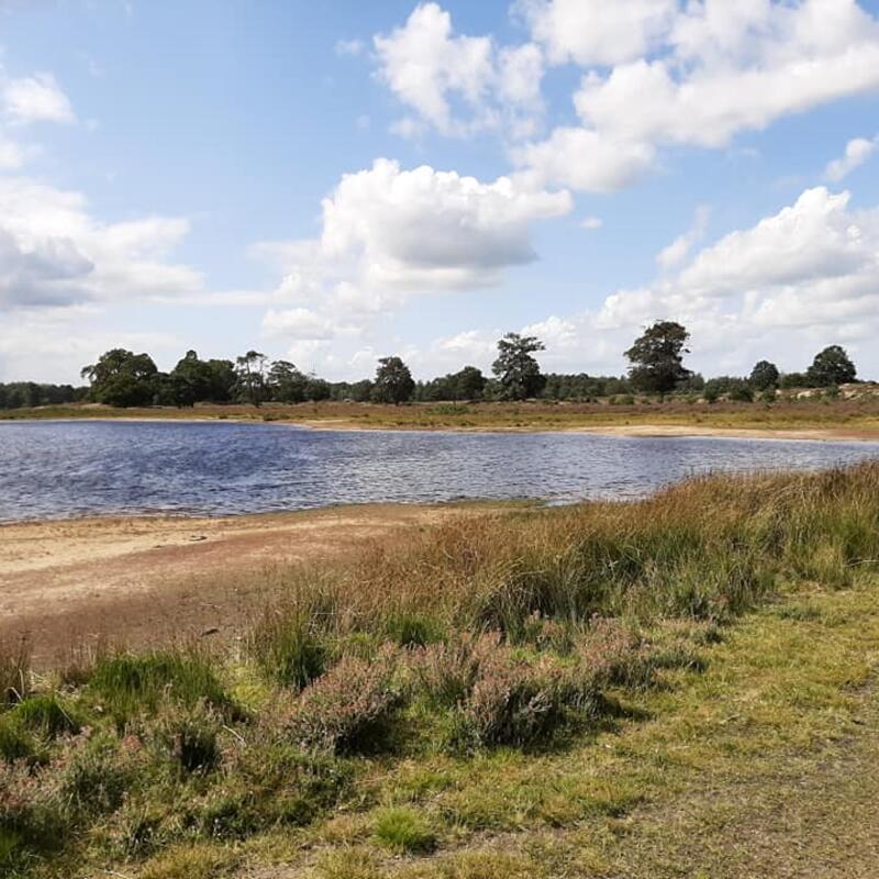 kale duinen