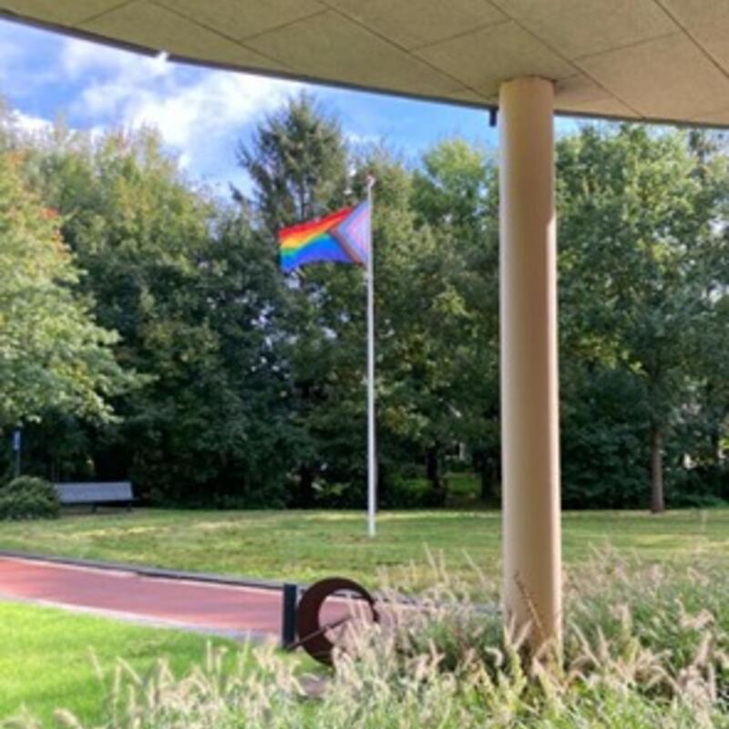 Progressvlag