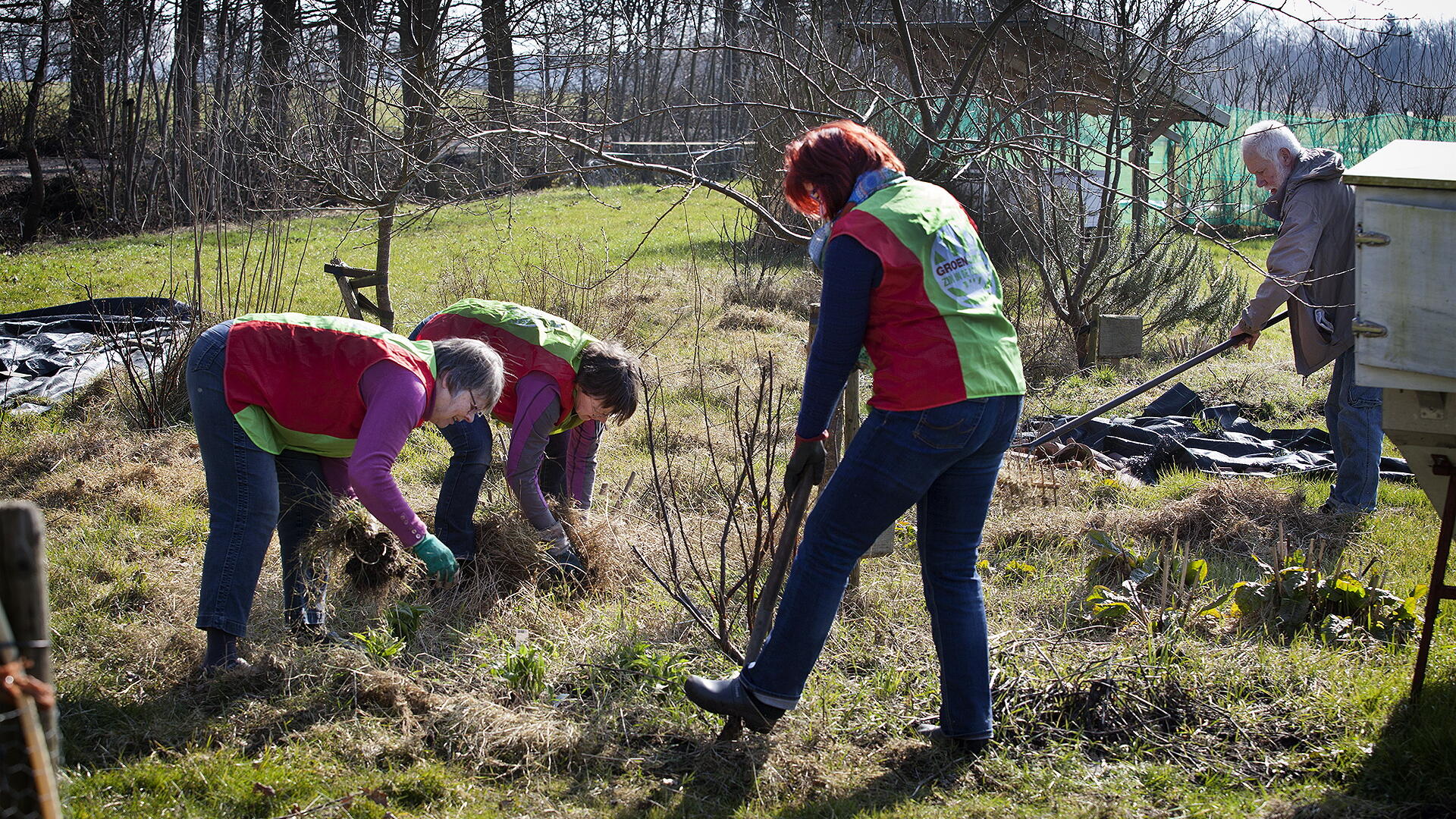 GroenLinks werkt op de dorpstuin van Makkinga